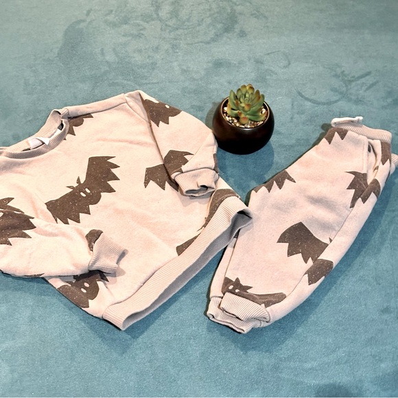 Zara bats set - Picture 1 of 1